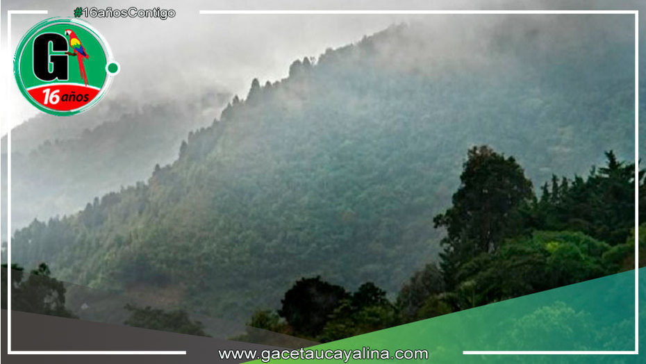 D Cimo Tercer Friaje Del A O Impactar La Selva Peruana Con Descenso De