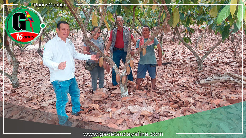 Devida monitorea actividades del Proyecto Cacao en Campo Verde